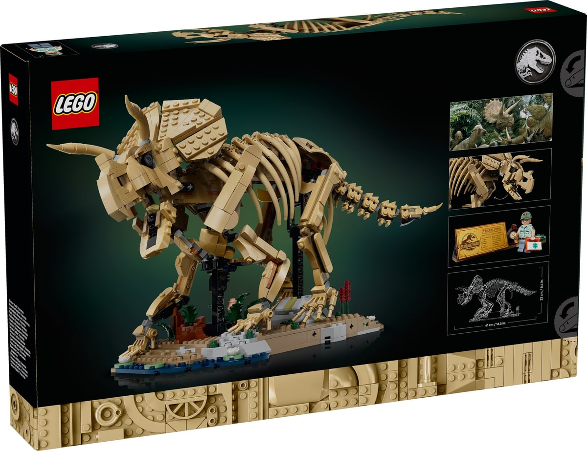 LEGO® 77985 Szkielety dinozaurów: triceratops - zdjęcie 3