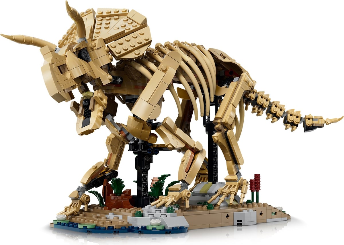 LEGO® 77985 Szkielety dinozaurów: triceratops - zdjęcie 27