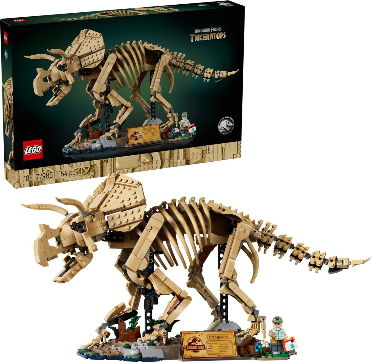 LEGO® 77985 Szkielety dinozaurów: triceratops - zdjęcie 5