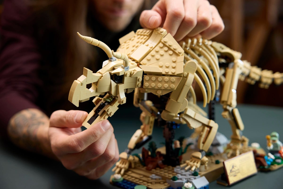 LEGO® 77985 Szkielety dinozaurów: triceratops - zdjęcie 13
