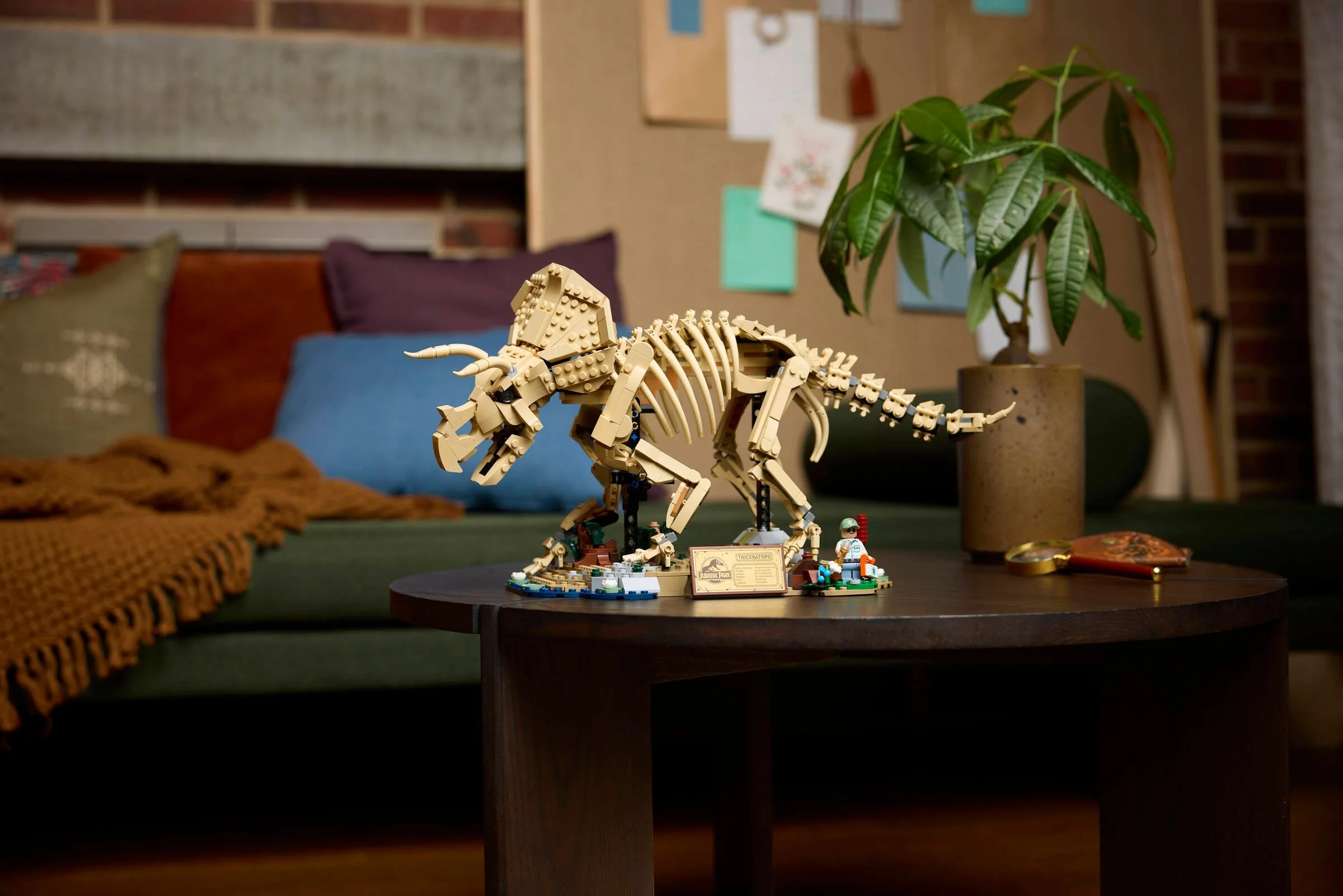 LEGO® 77985 Szkielety dinozaurów: triceratops - zdjęcie 20