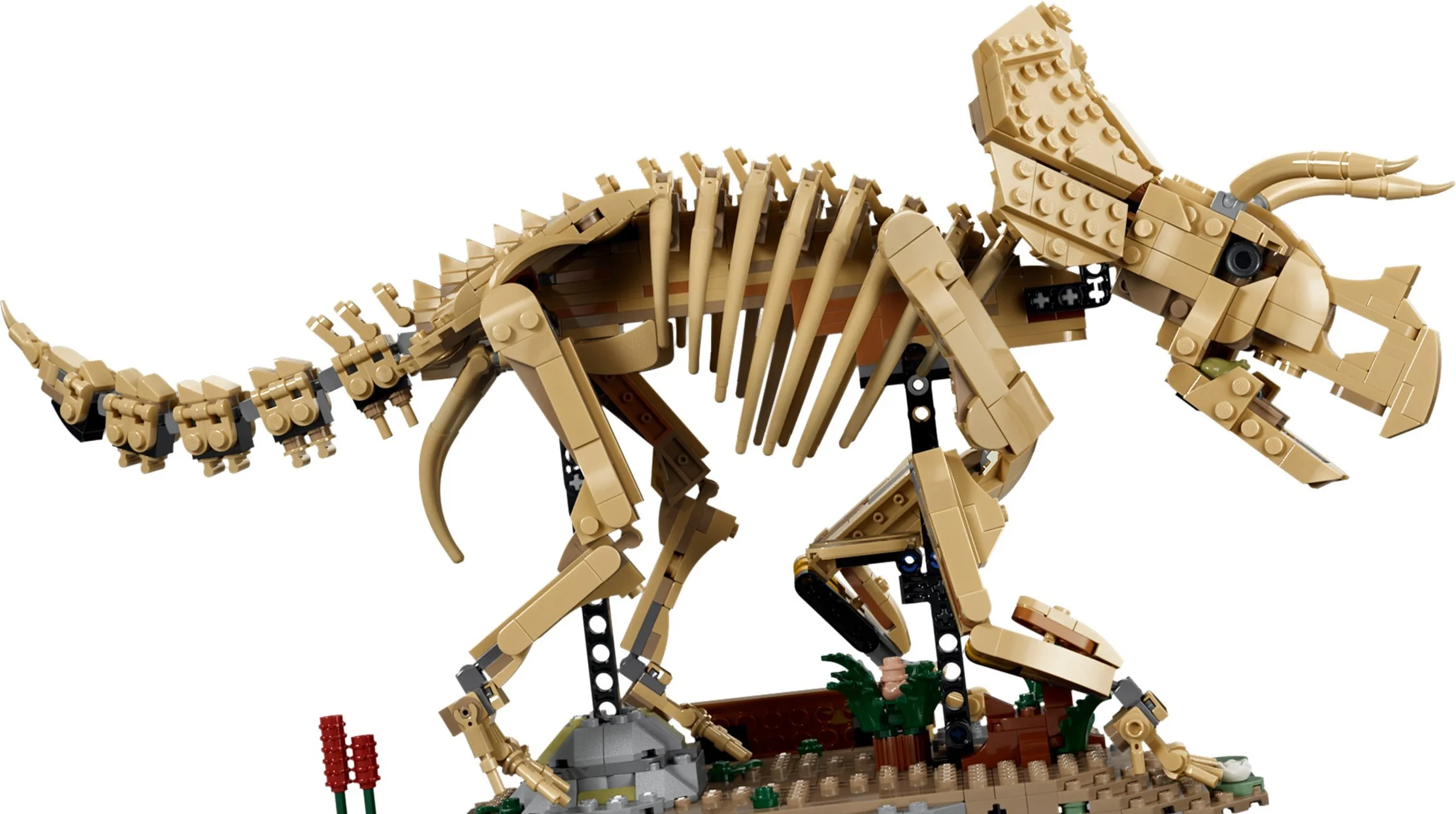 LEGO® 77985 Szkielety dinozaurów: triceratops - zdjęcie 24