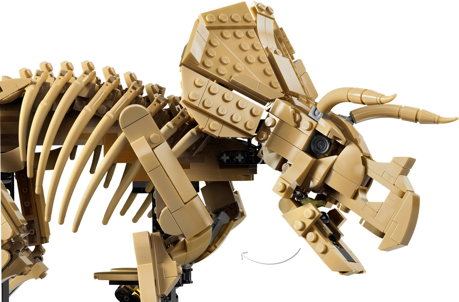 LEGO® 77985 Szkielety dinozaurów: triceratops - zdjęcie 28