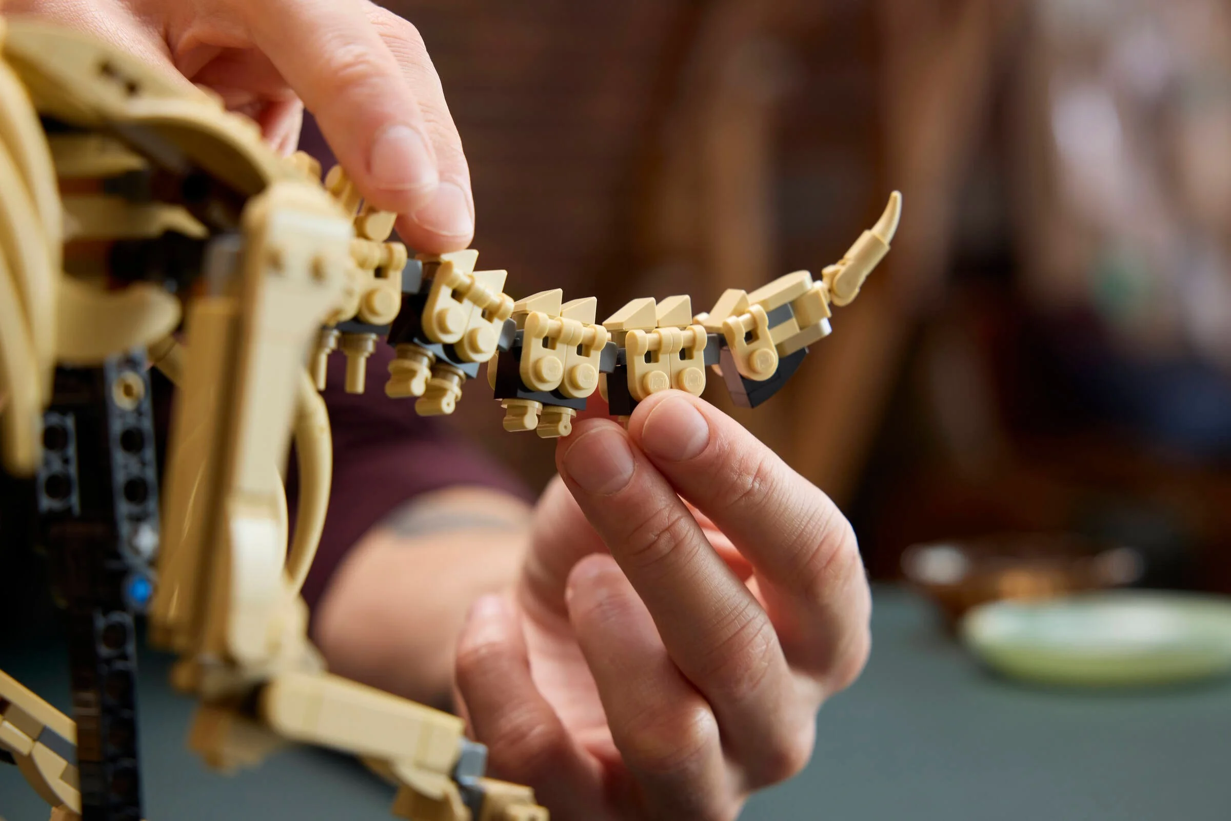 LEGO® 77985 Szkielety dinozaurów: triceratops - zdjęcie 10