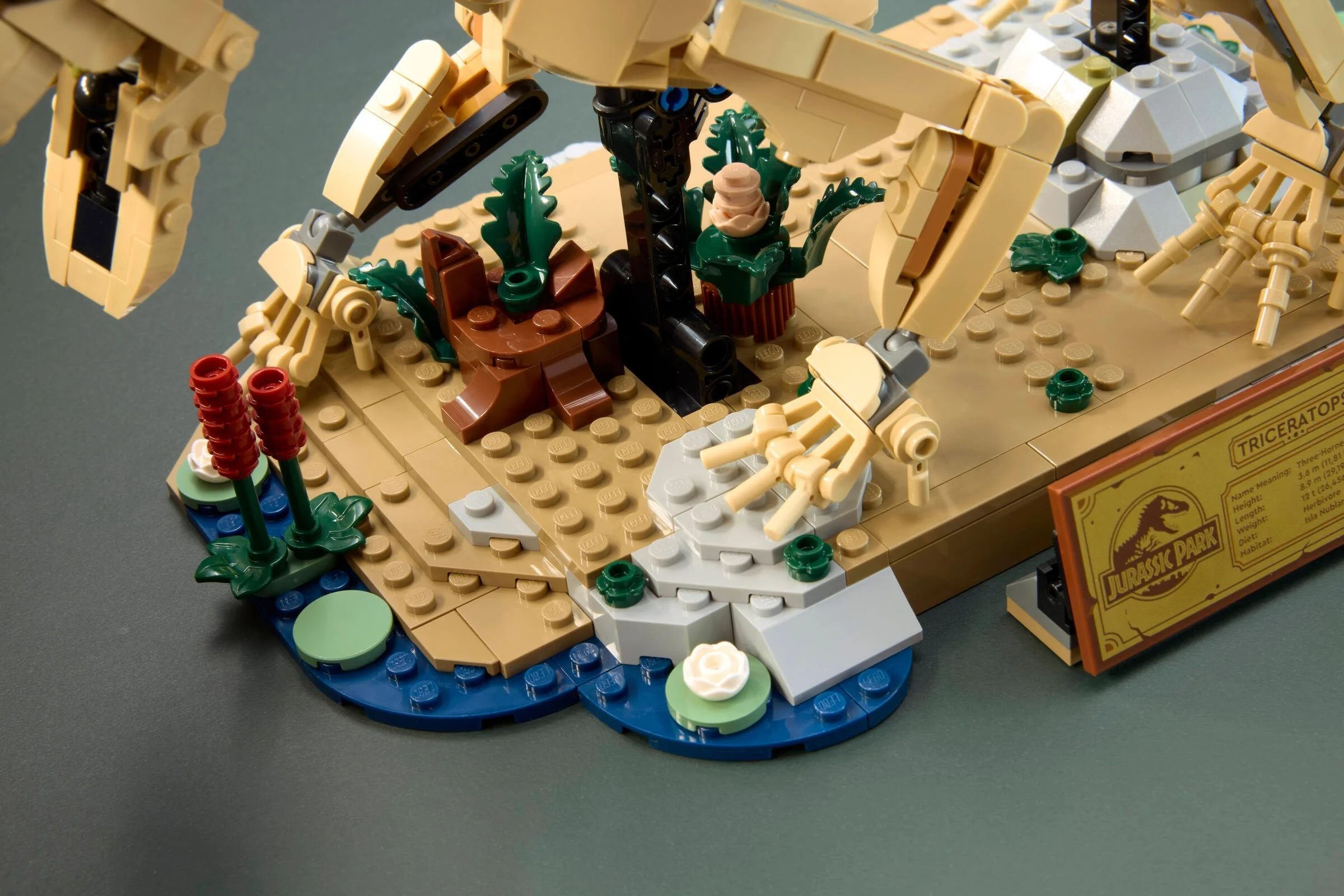 LEGO® 77985 Szkielety dinozaurów: triceratops - zdjęcie 14