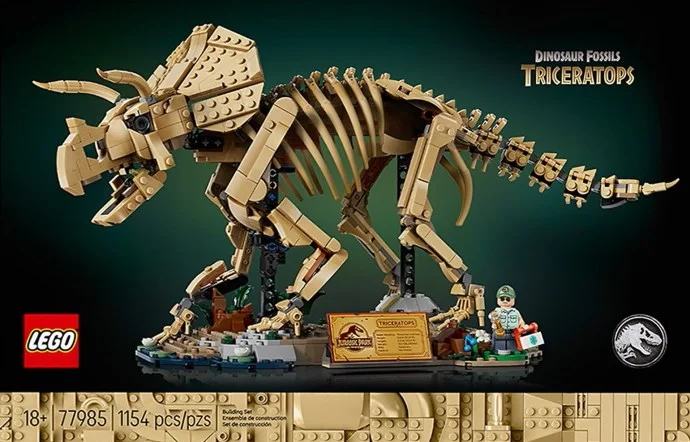 Szkielety dinozaurów: triceratops