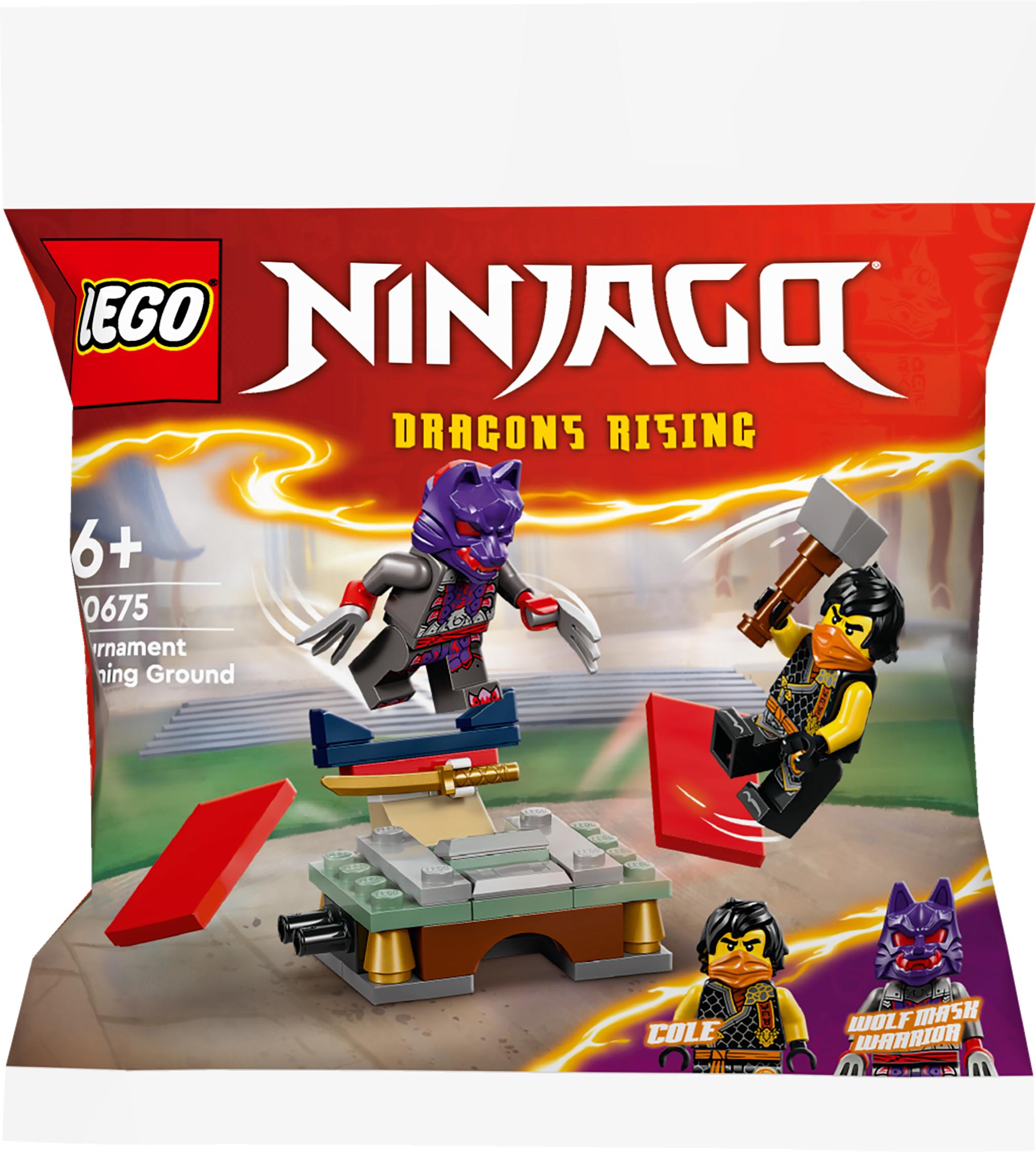 LEGO® 30675 Turniejowy Teren Szkoleniowy - zdjęcie 2